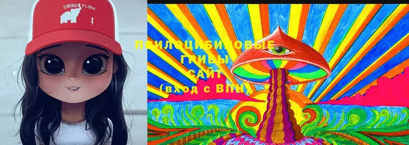 Галлюциногенные грибы Cubensis  Россошь 